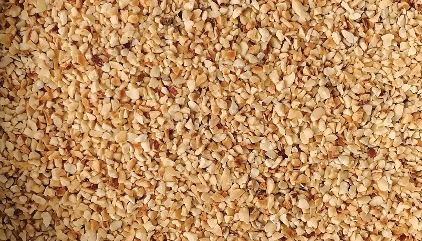 Noisettes grain grillées